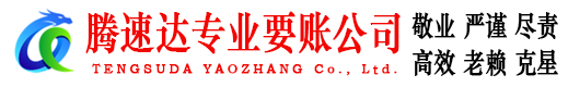 云龙讨债公司